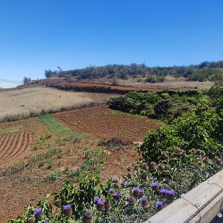 Finca El Cercadillo Gáldar المظهر الخارجي الصورة