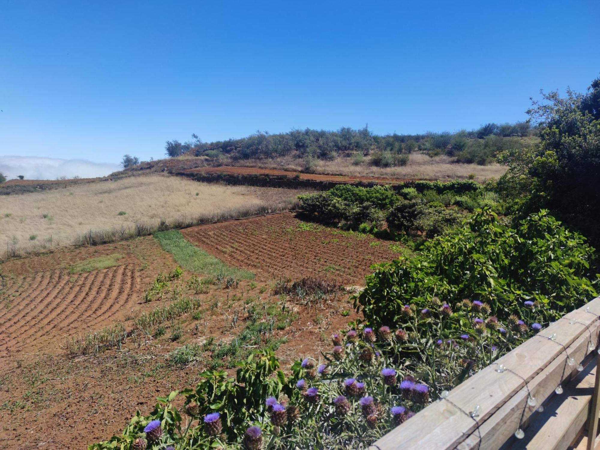 Finca El Cercadillo Gáldar المظهر الخارجي الصورة